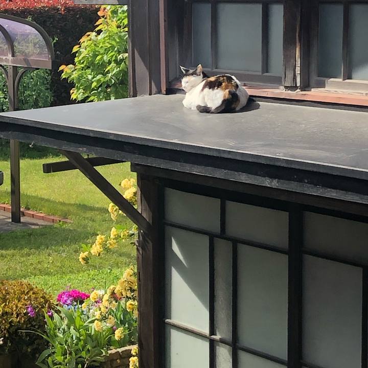 7c36aeba e41d 4320 859a 76680a54d652 1618705621127