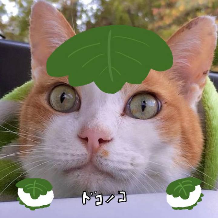 7c36e3be 0364 46ec 8a86 2890565f767c 1749104808039