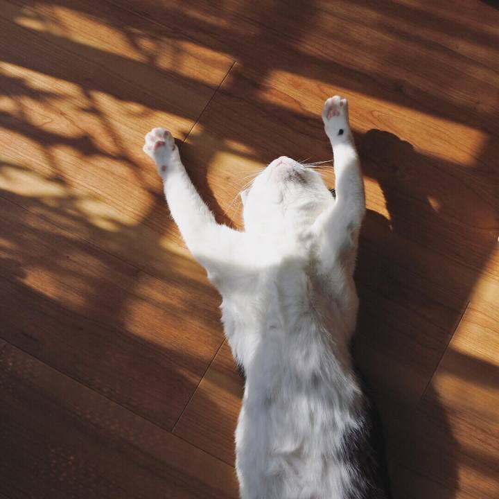 7c36fa07 abcd 4858 a56a 1cd2db151b13 1551505559776