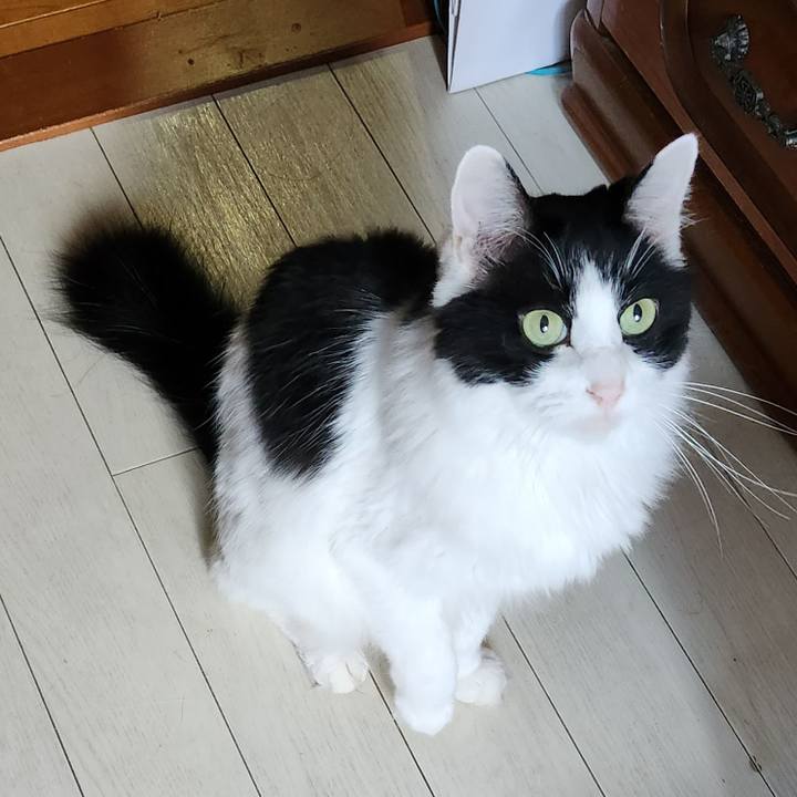 7c370abe 8b56 472e 9279 0ca745585f04 1698017392994