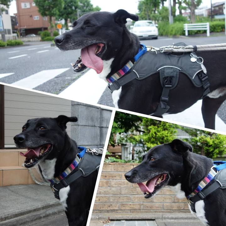 7c3731ba d918 4479 8e89 bc104a72ba79 1653525715850