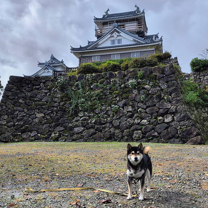 7c374c5f 8afc 48b8 b6b4 49178da246fe 1761988441910