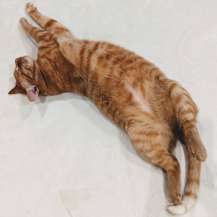 7c3789bb 8f9e 423e 81ed c7bb64189ebc 1623127973025