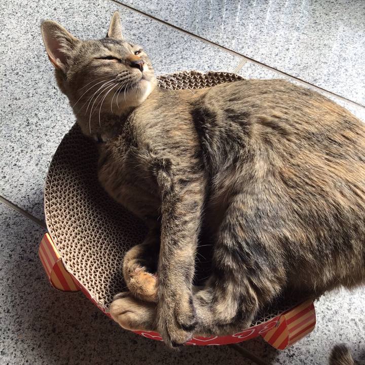 7c37901e 021c 47a8 a333 4031c180eb3b 1580617334461