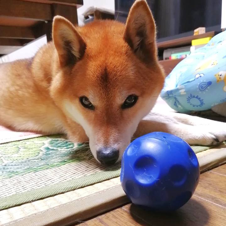 7c38174f fd3d 4a07 87c2 1e00f0bf7bd5 1652442686746