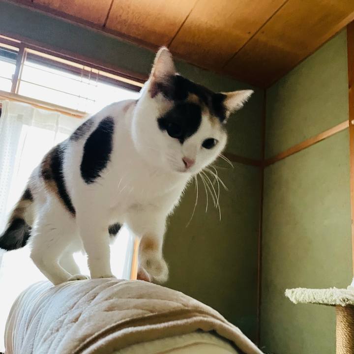 7c3844cb 6047 45ad 80e9 c908b754c5d9 1643336100796