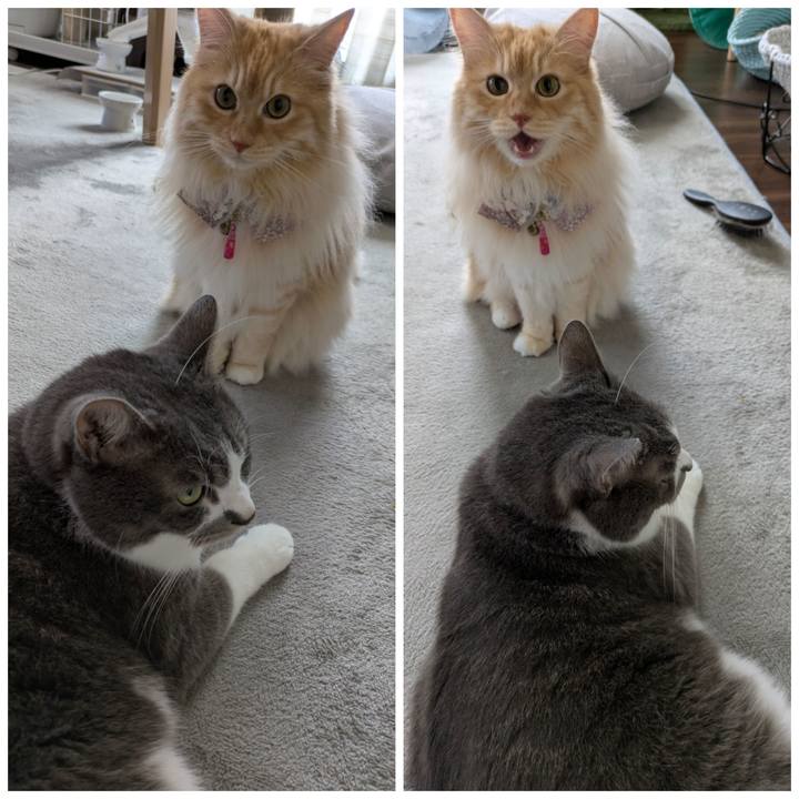 7c385ac4 67c5 40c0 adbb 0cb596f03037 1752037684586