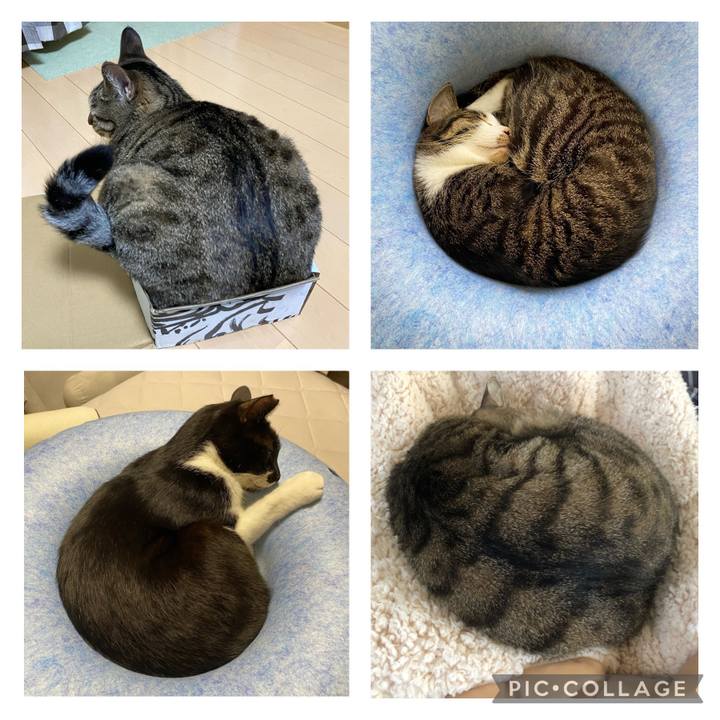 7c3871a8 cf74 404b b2d8 f8599986c9bb 1696022323578