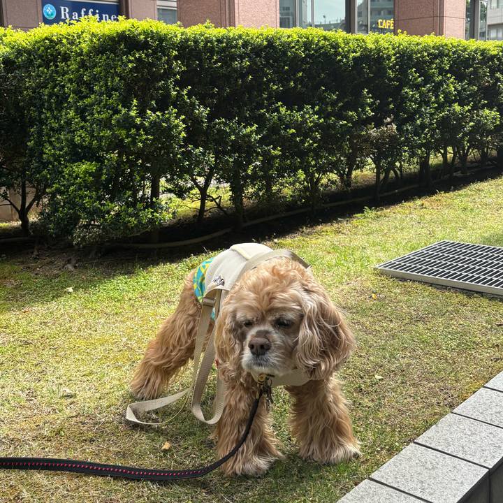 7c3880a9 347f 4fb6 9bc9 35e40decc32b 1776775988887