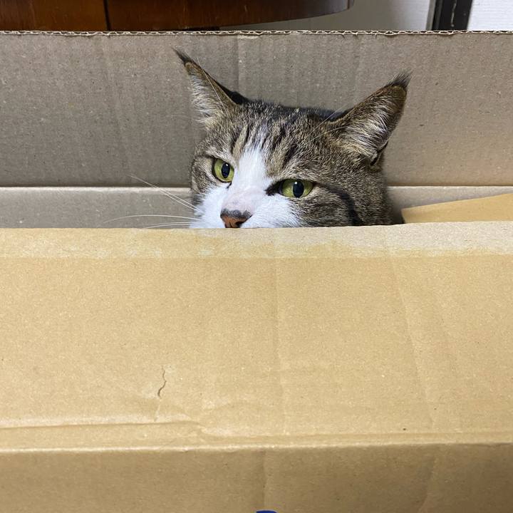 7c388c52 3928 4440 ac07 5f25206bca14 1582390028585