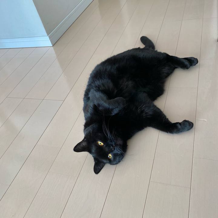 7c38a09d 3c68 4cc7 929a 3eddb86168d7 1685266020347