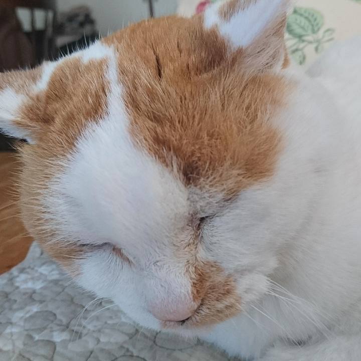 7c38adae f50b 4a49 9145 2d186247717d 1557007304575