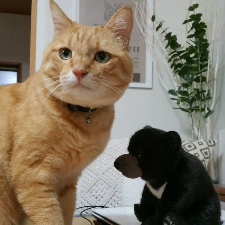 7c38b26e b420 4db3 a446 0a9b2a6ed6f2 1568006203338