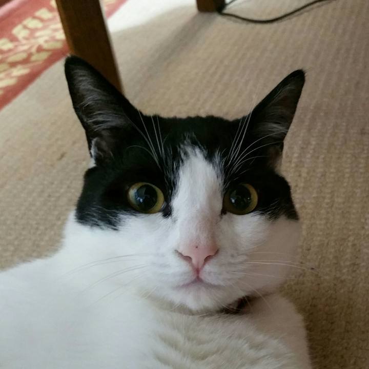 7c38b589 adc2 4f72 a5d3 8bd168b5be4f 1512652042182