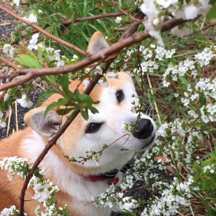 7c38c7a4 f567 41fd b500 765ed3baf03d 1521641043458