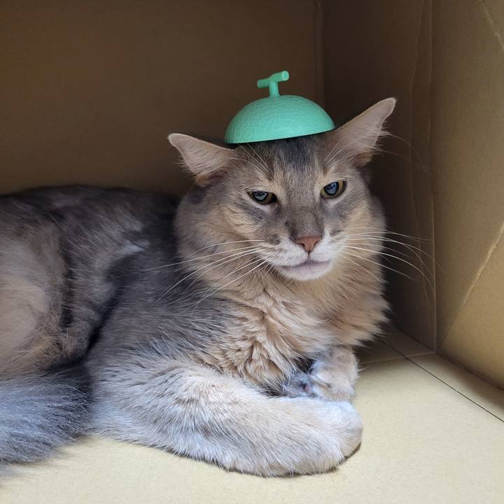 7c38c901 bb8b 4f99 9faa 2c3456ef6064 1660810709900