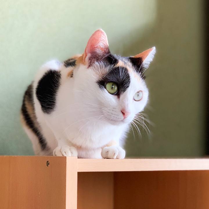 7c38dca0 dc09 47c5 84c6 4f2410d7931b 1570761565318