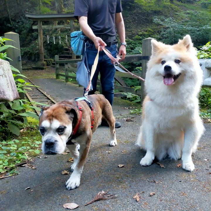 7c38f25e ae74 4cbd bf95 6bb752f4ff6e 1690461643674