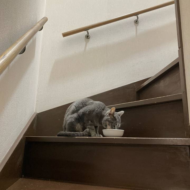 7c3968ca bda5 41a1 a176 f004677c692b 1655382933236