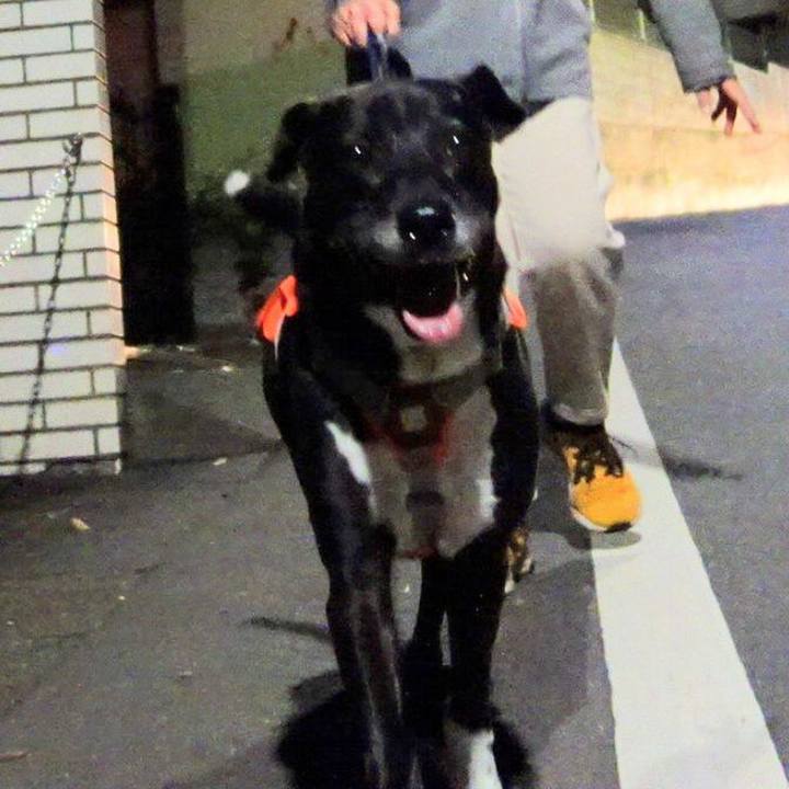 7c39698c c657 4e06 acba 12145467a13c 1731149746576