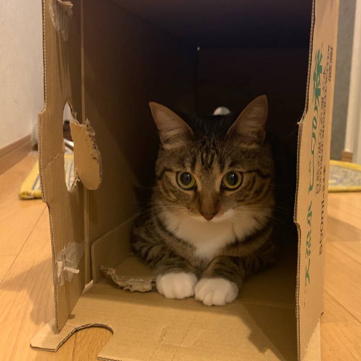 7c397821 6806 4652 a601 b5a553bbe4d2 1560595574523