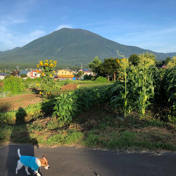 7c39ae46 1e22 45b4 bb9a f20e79e9673a 1565650348935