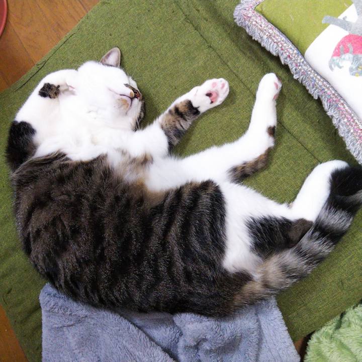 7c3a2241 aa01 46ef b7cf 0bf94814fd0a 1652246182294