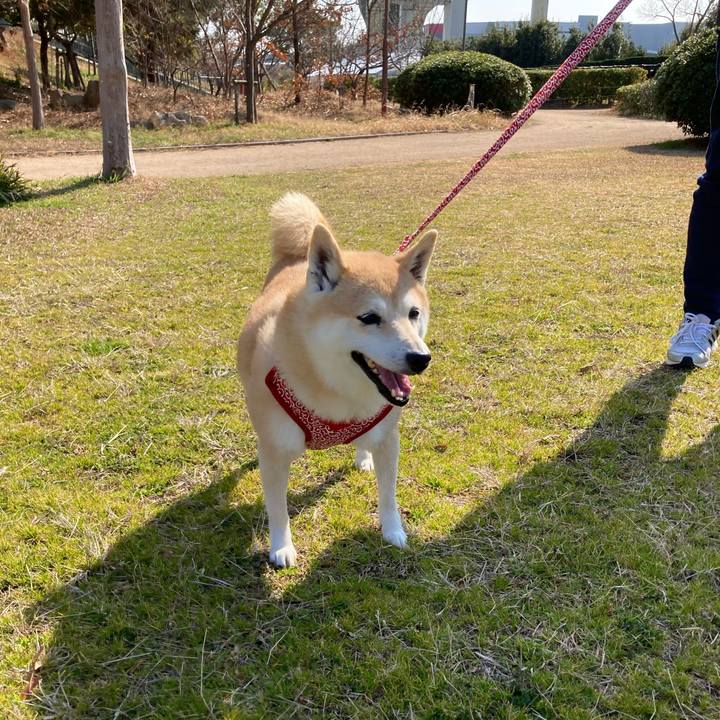 7c3a2ac4 dec2 4e49 b923 e17d6494dce3 1613909321548