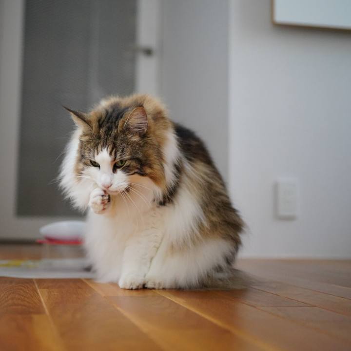 7c3a2ac8 9b46 4f7a b24a 4a3b3d27c9db 1693195720124