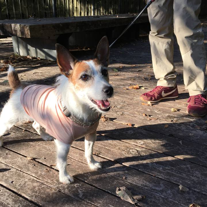 7c3a7f99 86b2 42f7 b254 8f13554ba026 1604188030939