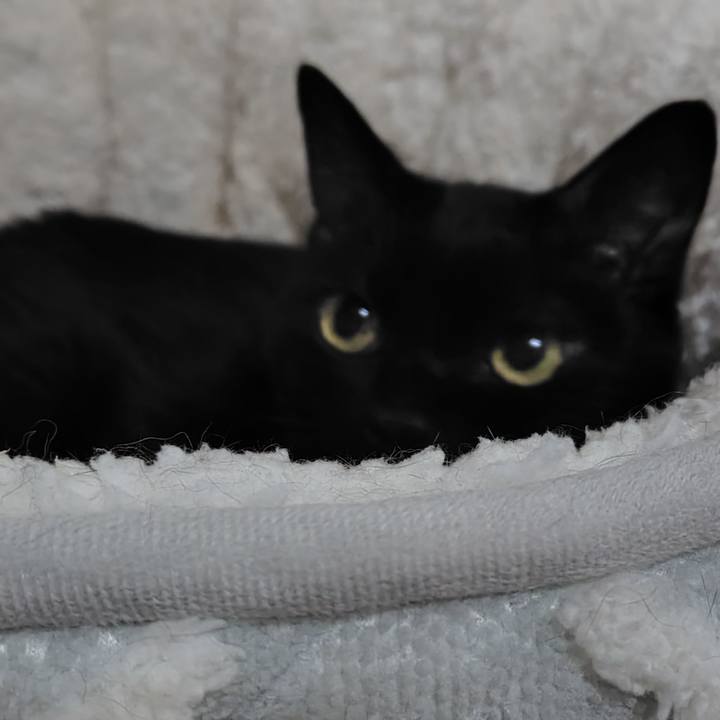 7c3a9528 c19c 43ef 9c16 dbb90d91ddfb 1746526144664