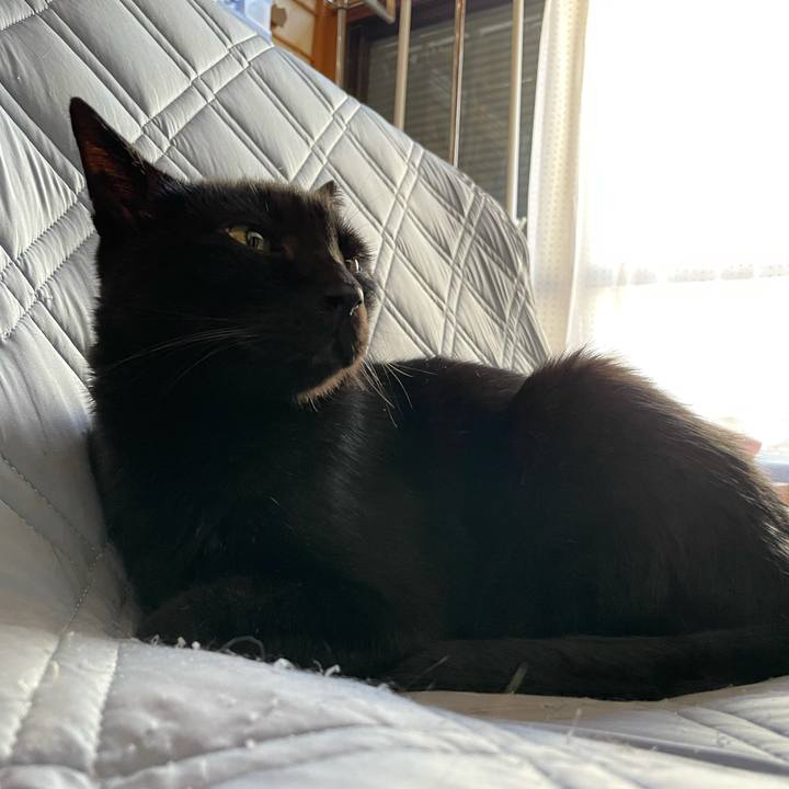 7c3ac91b fce0 4f9e bdd9 5563e0774a49 1633831537636