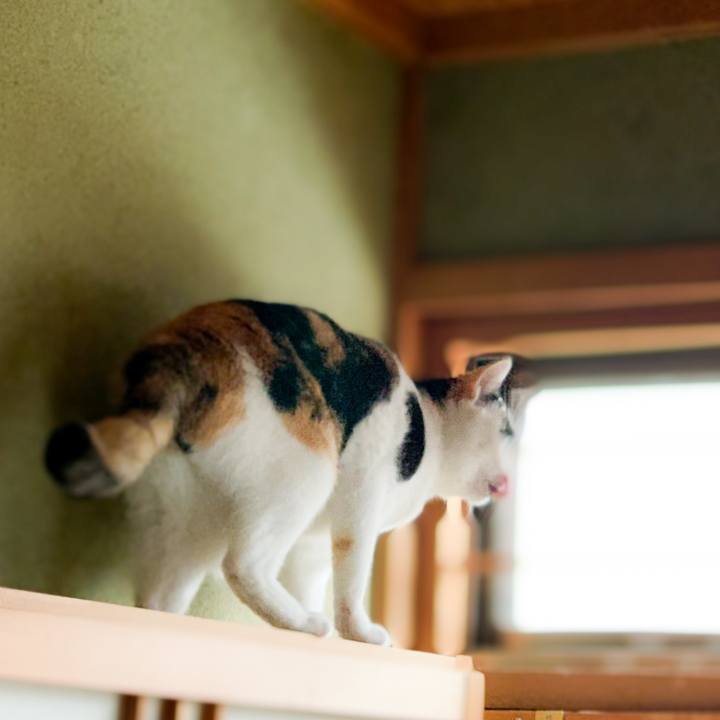 7c3addb0 0af1 4a50 8b5b 1540adb31f7e 1590371207498