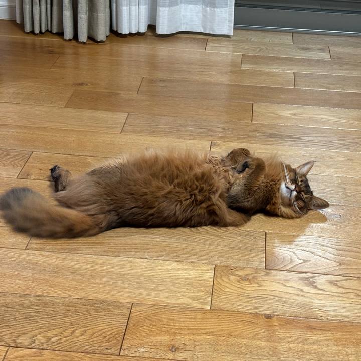 7c3ae03c 9abe 4a5d af12 c8b0ff41058e 1750549597419