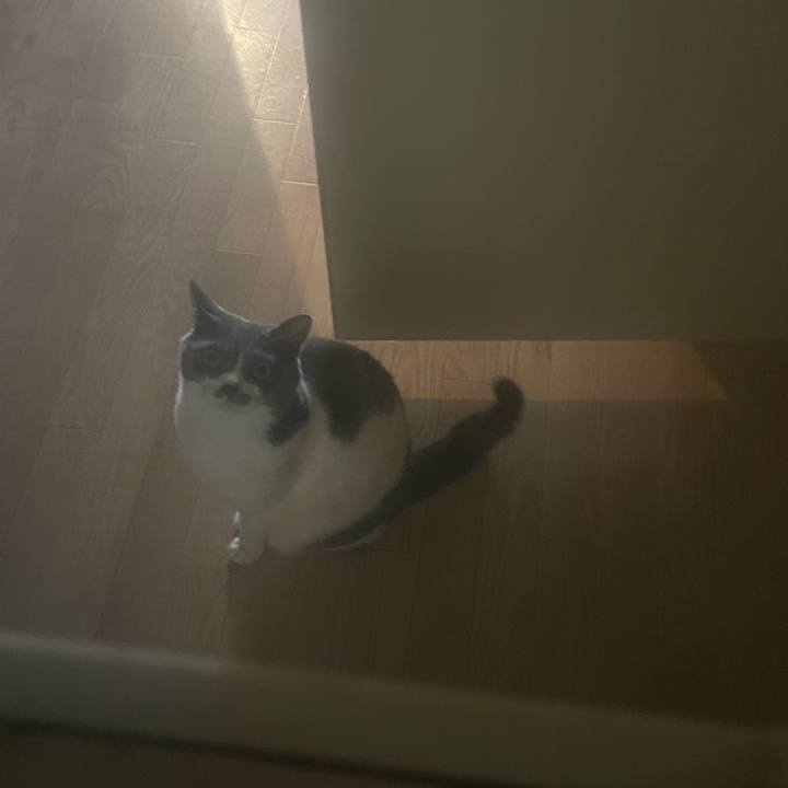 7c3ae40e e5ac 46ac 8341 b3e041c78a41 1738382161401