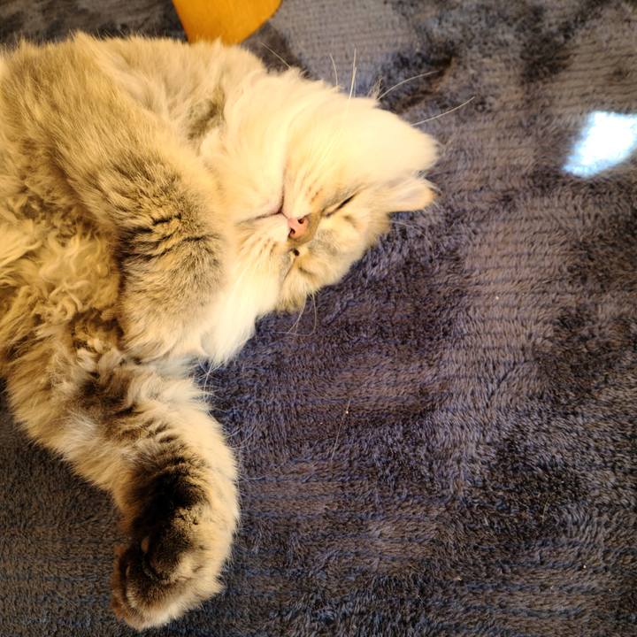 7c3ae5c1 35c3 419c 91b7 f56a21231660 1604718506119