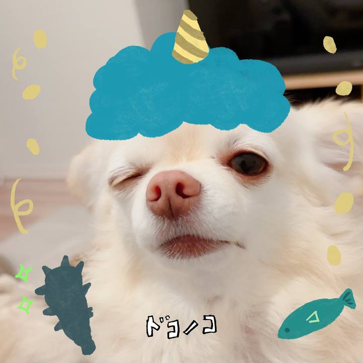 7c3afdce a2e0 4b79 a26b 876cc45ff971 1706841847420