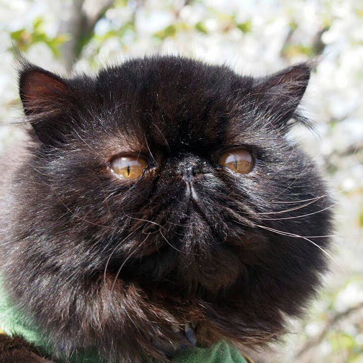 7c3b1366 6237 4942 8737 c71af9780bc0 1522583366713