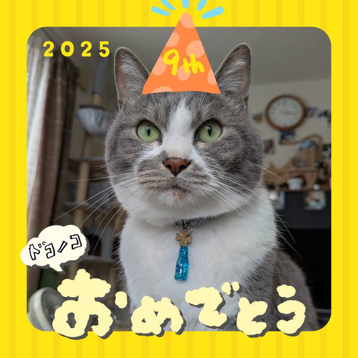 7c3b5956 2bf6 4671 b721 7cd0a62ded39 1749093832176