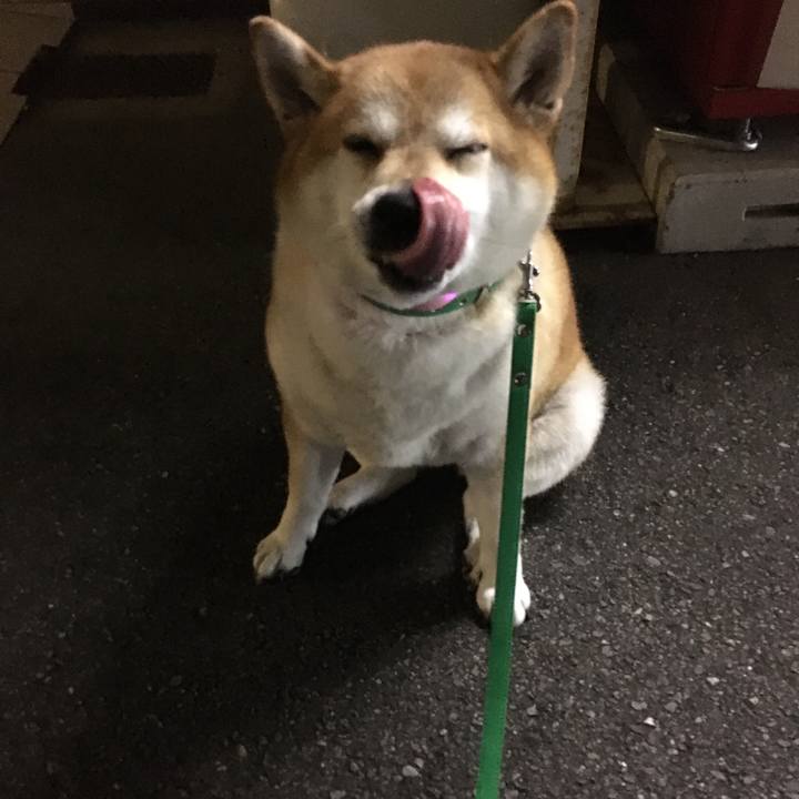 7c3b61cf 5340 4a16 b357 82405d2c6c14 1601806152139