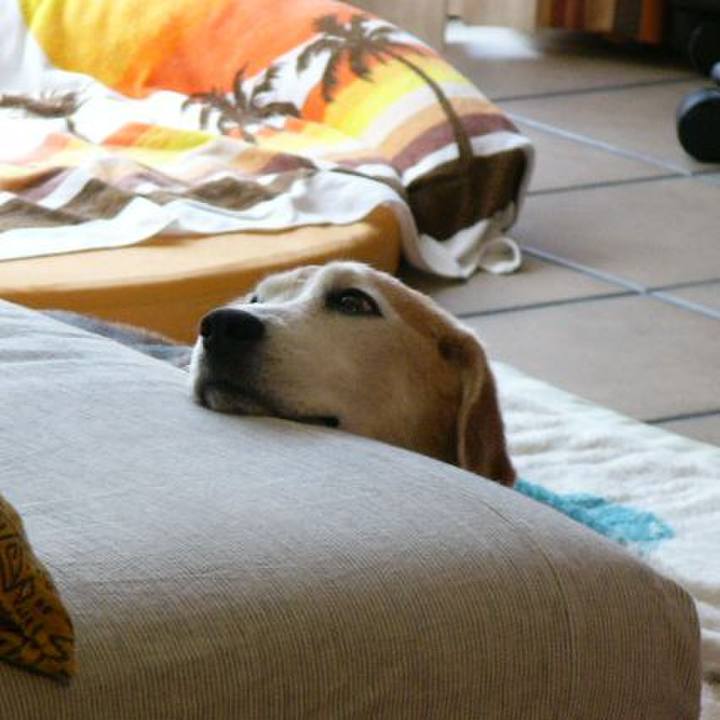 7c3b6f94 5040 4a19 81b8 8c9d61c81cb5 1691972632424