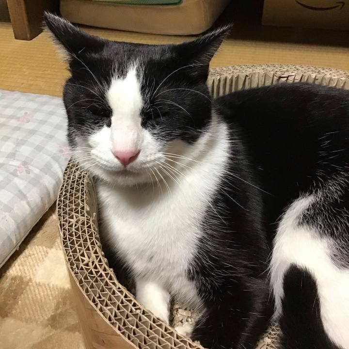 7c3b7451 7989 423f 868f 253cd6612b17 1699791254193