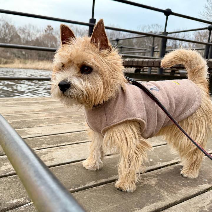 7c3c00bb e1db 4651 994d 531712a46c93 1768114435783