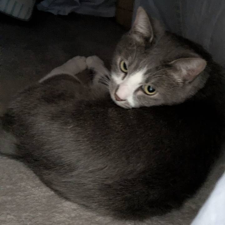 7c3c1a69 c53e 4ed3 a556 a789e7ec2d1a 1765846712938