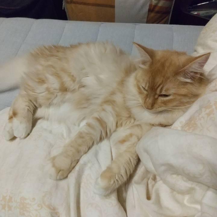 7c3c1aaf b782 433c b235 3cb423c2ca72 1624617629089