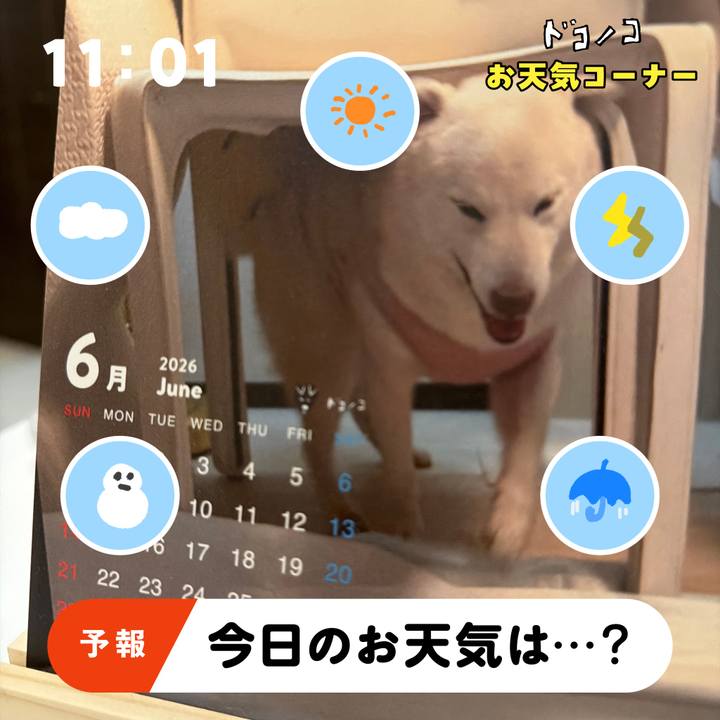 7c3c1fc8 2df4 480c b373 313d55dfe68e 1782038060981