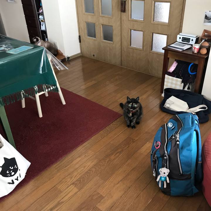 7c3c778b 0e54 4f30 b662 ae3e8eeaaea9 1555551256892