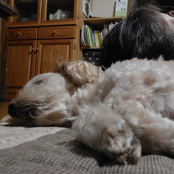 7c3cbee3 ffa1 4120 b31d 30570eb41d40 1631713252880