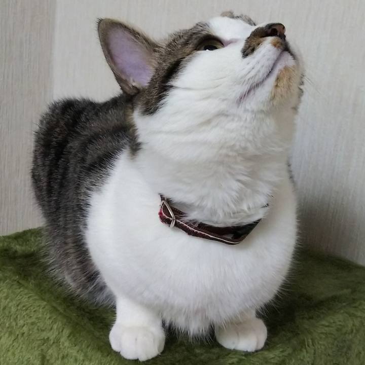 7c3ce882 7ee7 47c0 9296 6704b91f4736 1620251142259