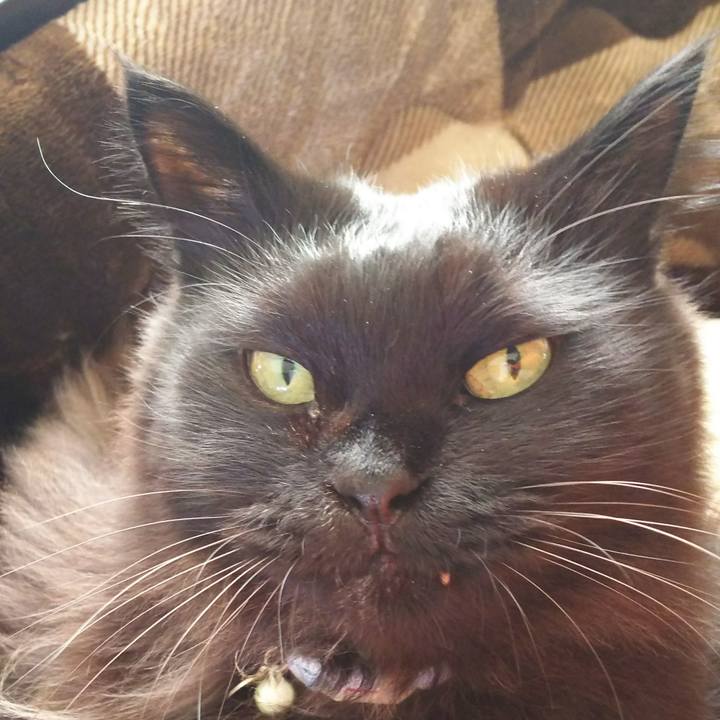 7c3d77e9 5d85 4302 beb1 fbc2438a0c6c 1514954441931